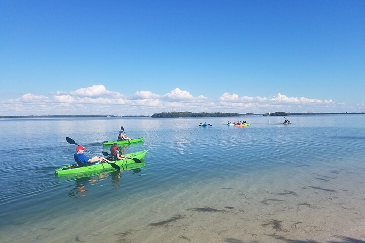 Guided Kayak EcoTour of Beautiful Shell Key Preserve - Photo 1 of 7